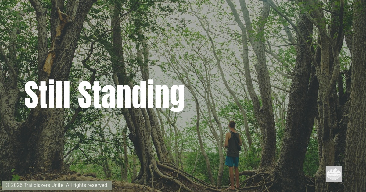 Still Standing