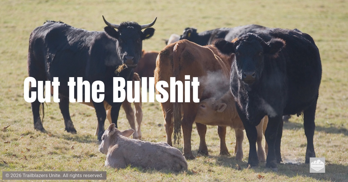 Group of cows standing together in an open field, symbolizing directness, honesty, and grounded reality.