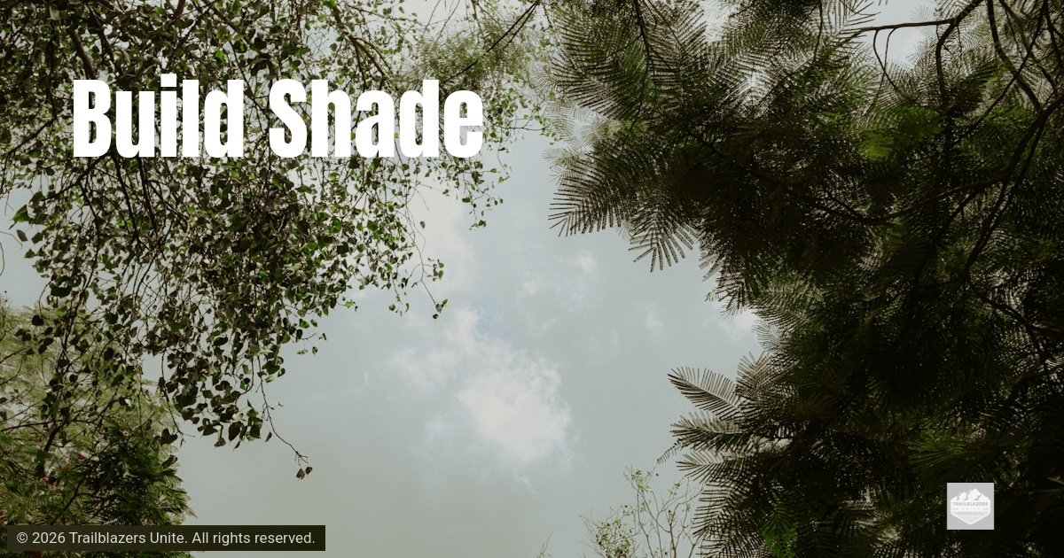View upward through leafy tree canopy, sunlight filtering through branches, symbolizing protection, rest, and sustainable growth.
