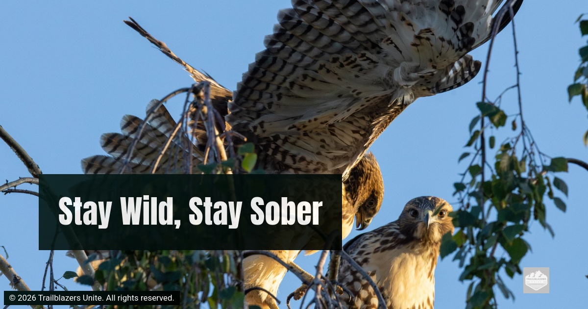 Stay Wild, Stay Sober: June 22, 2026 - Daily Motivation