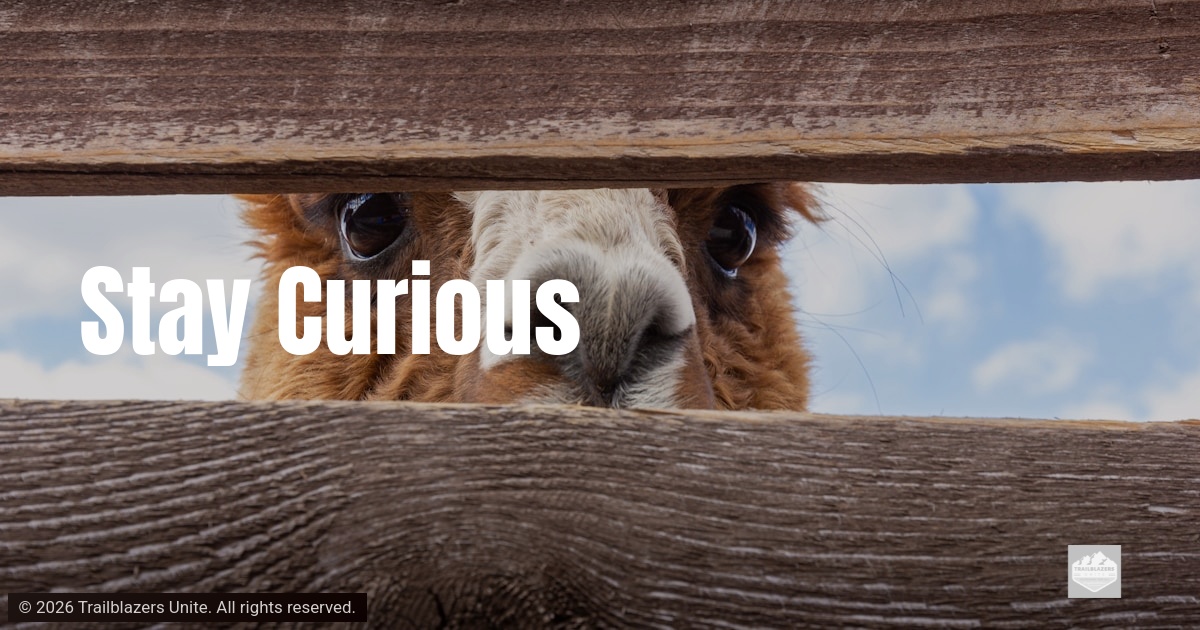 Animal peeking through a wooden fence, representing curiosity, openness, and a willingness to explore without fear.